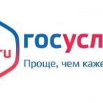 gosuslugi2-300×155